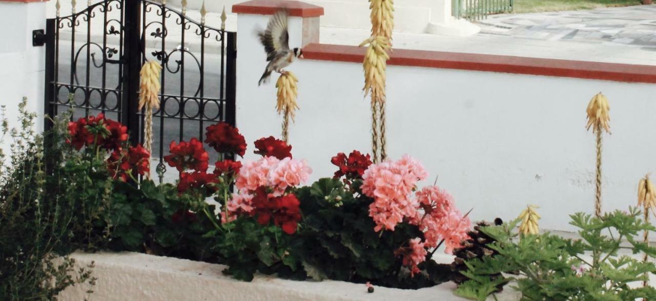 Ithaca Villa Larnaca Bagian luar foto